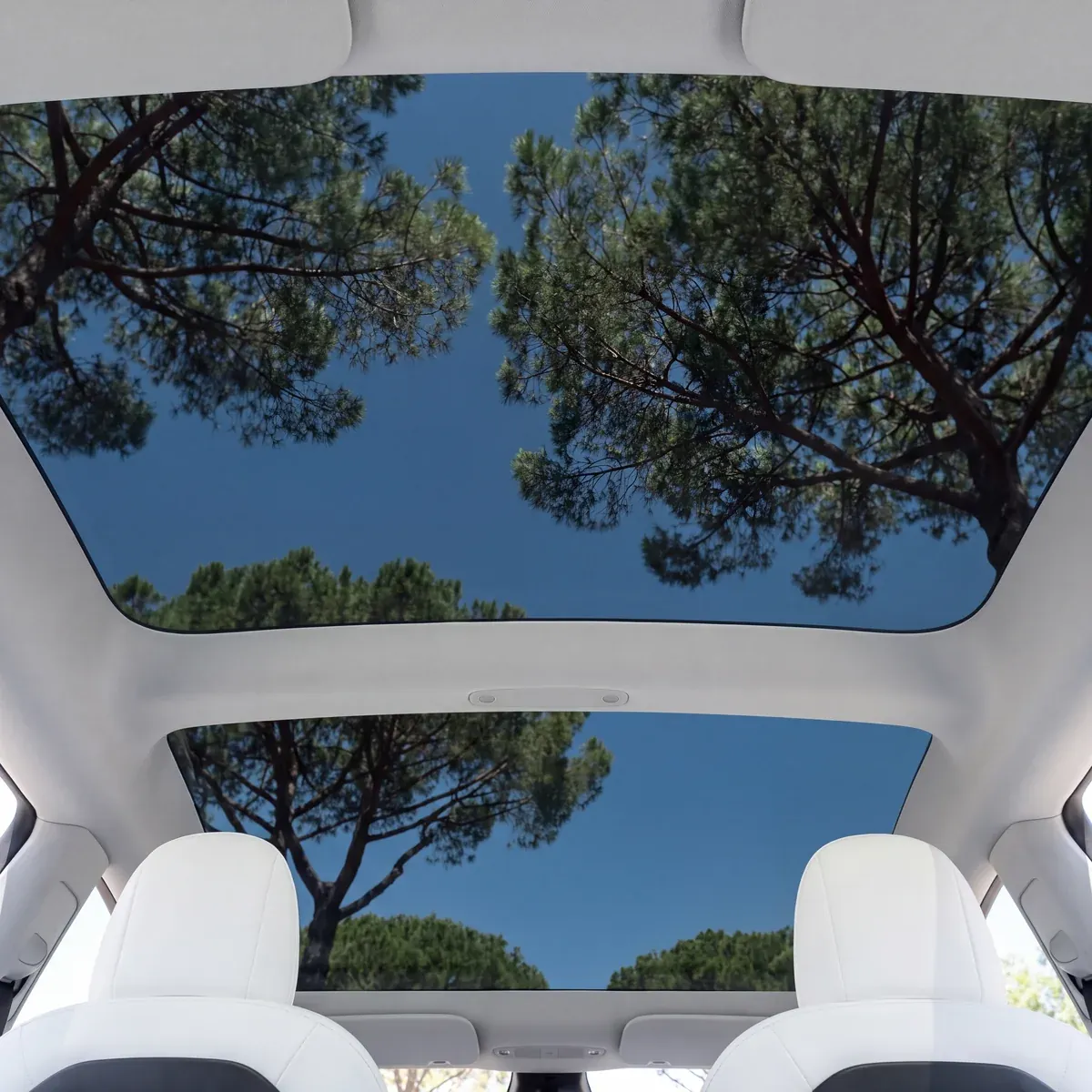Tesla saloon: glass roof